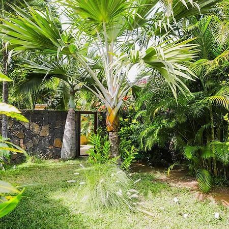 Villa Tropicale Balinaise Intimiste Grand Baie Exterior foto