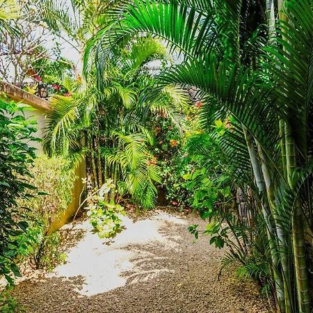 Villa Tropicale Balinaise Intimiste Grand Baie Exterior foto